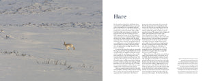 Kinder Scout - Adventure Books by Vertebrate Publishing