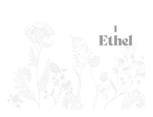 Ethel by Helen Mort 9781839812293 sample pages