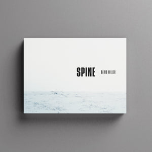 Spine by David Miller paperback cover mock-up