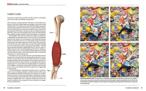 The Climbing Bible Climb Injury Free Stian Christophersen 9781839812002 sample pages