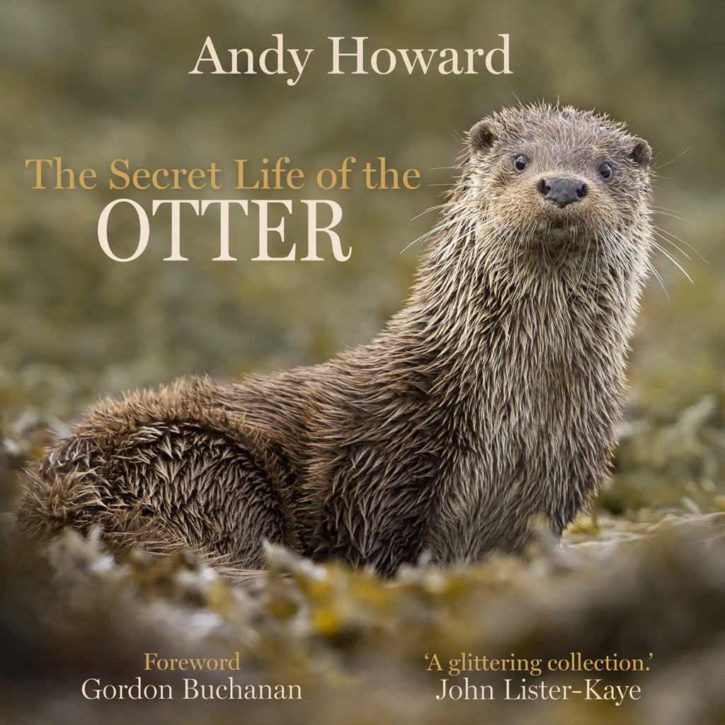 The Secret Life of the Otter by Andy Howard cover image 9781913207410