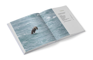 The Secret Life of the Otter by Andy Howard sample pages