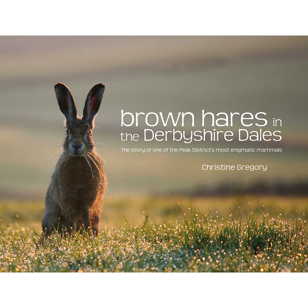 Brown Hares in the Derbyshire Dales - Adventure Books by Vertebrate Publishing