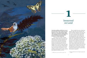 Wild Waters - Adventure Books by Vertebrate Publishing