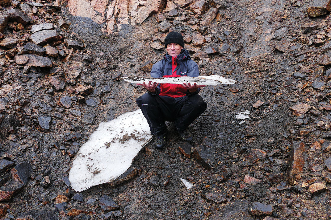 The Vanishing Ice, by Iain Cameron (extract)