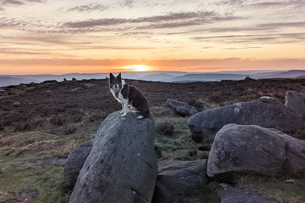 Hiking gear for beginners – Paul Besley's guide to walking boots, clothes, backpacks and dog walks