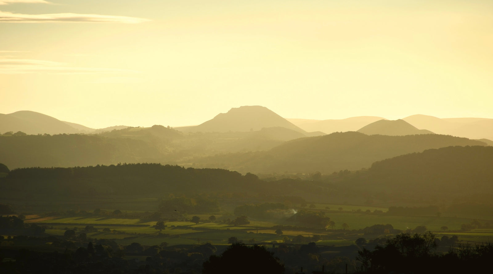 Publishing books in 2022