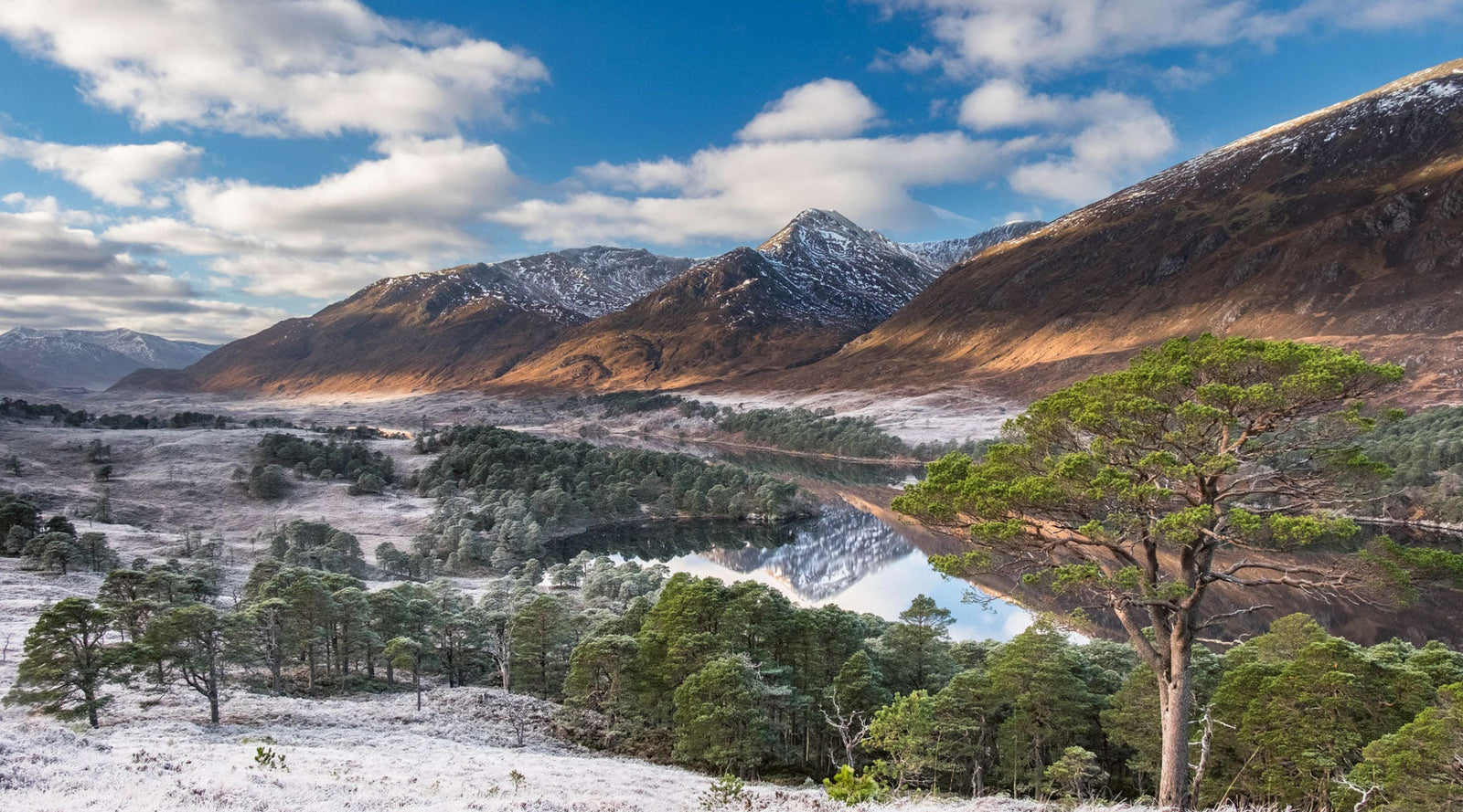 NEWS: Three Vertebrate books selected as Banff Mountain Book Competition finalists
