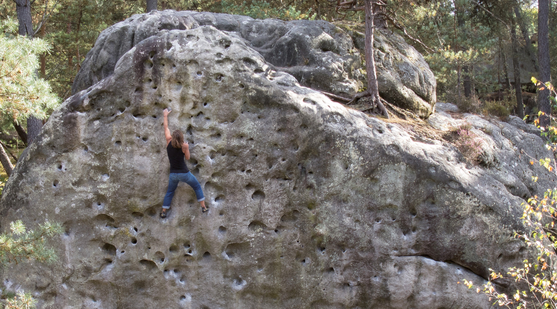 Fontainebleau bouldering guides