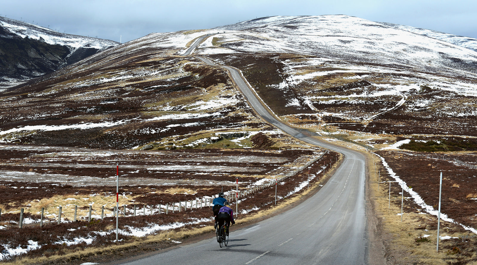 Hannah Reynolds recommends