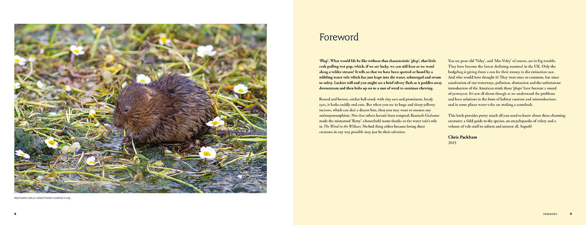The Water Vole - Adventure Books by Vertebrate Publishing