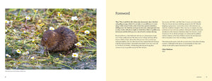The Water Vole