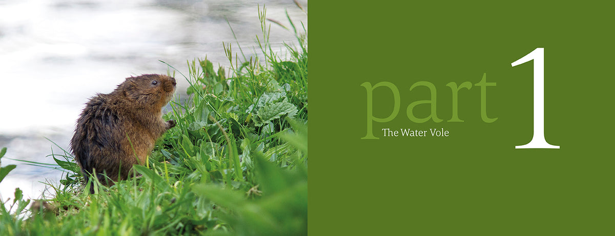 The Water Vole - Adventure Books by Vertebrate Publishing