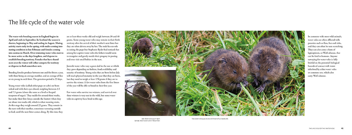 The Water Vole - Adventure Books by Vertebrate Publishing