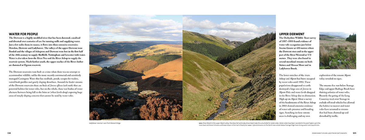 The Water Vole - Adventure Books by Vertebrate Publishing
