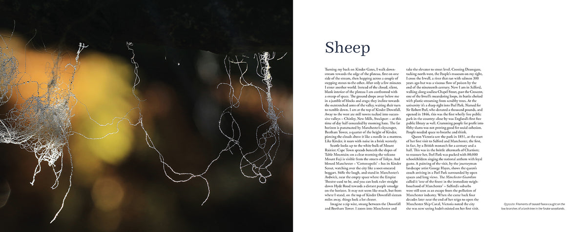 Kinder Scout - Adventure Books by Vertebrate Publishing