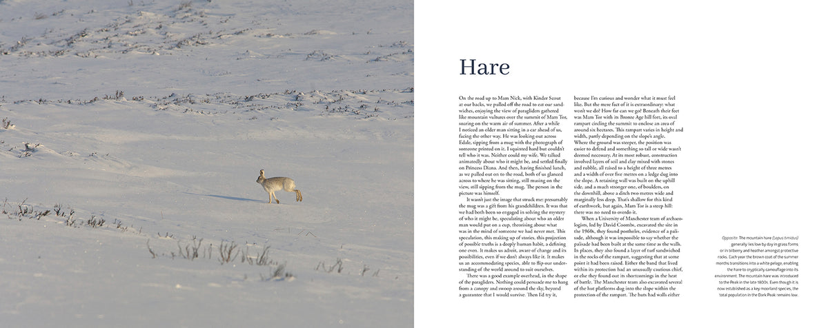 Kinder Scout - Adventure Books by Vertebrate Publishing