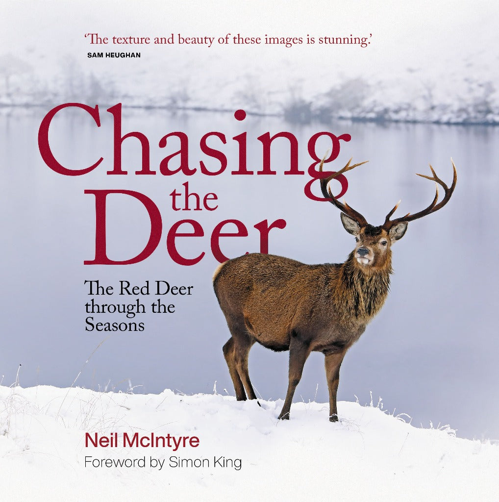 Chasing the Deer By Neil McIntyre 