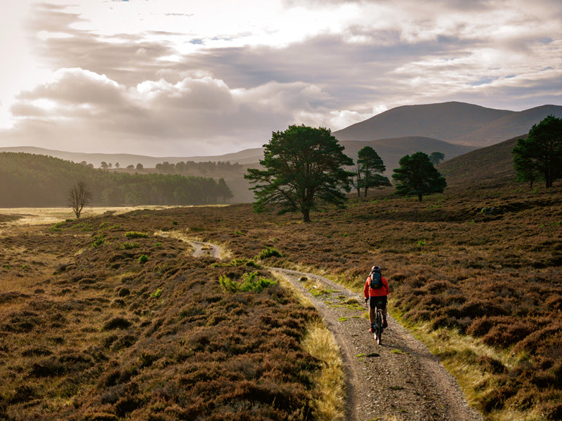 Photo from Gravel Rides Cairngorms & Perthshire by Markus Stitz