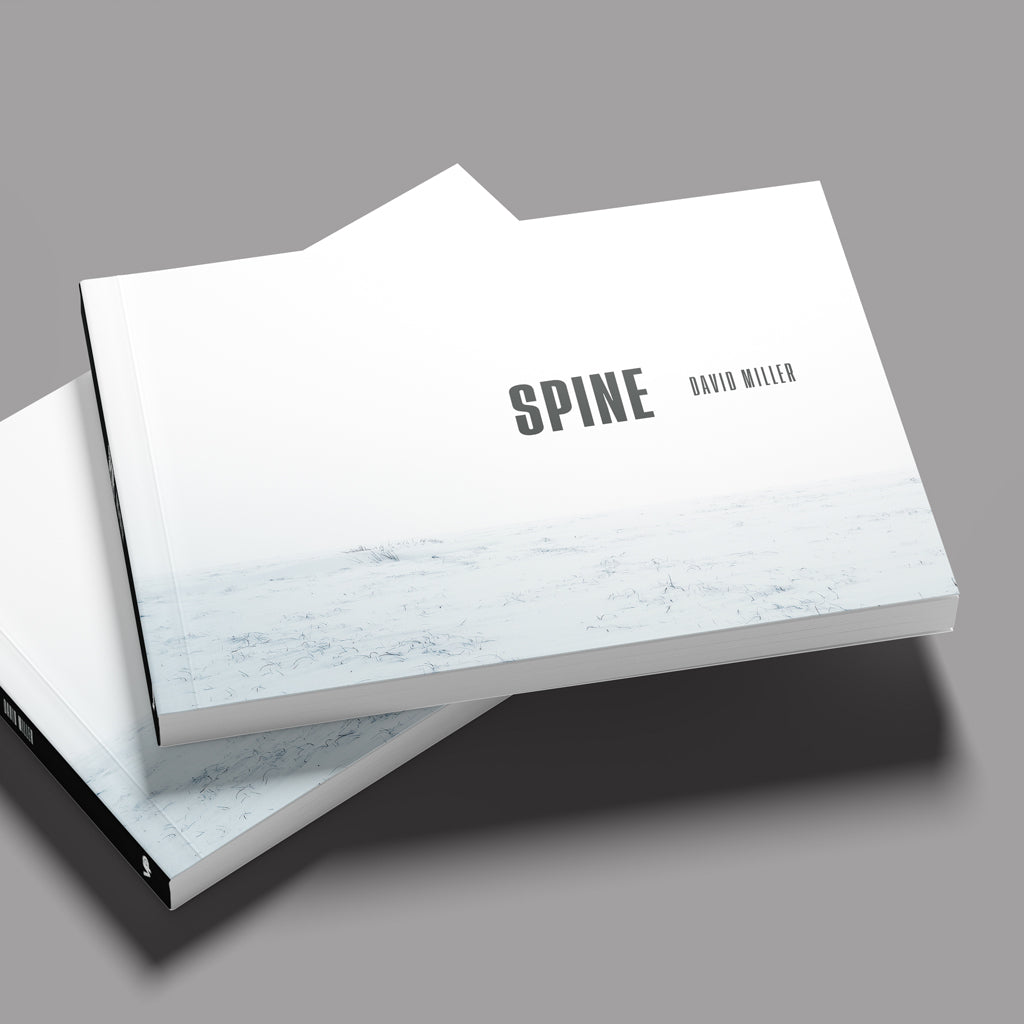 Spine by David Miller paperback cover mock-up