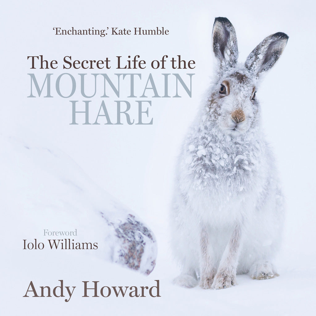 The Secret Life of the Mountain Hare by Andy Howard cover image 9781913207267