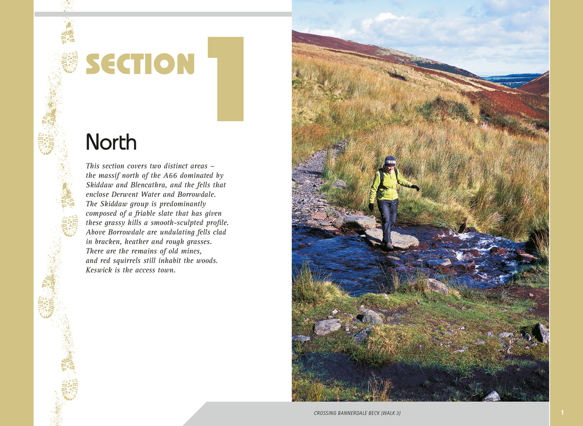 Day Walks in the Lake District - Adventure Books by Vertebrate Publishing