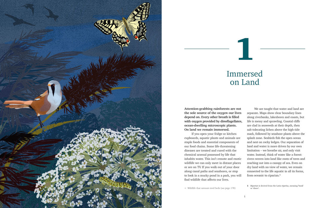 Wild Waters - Adventure Books by Vertebrate Publishing