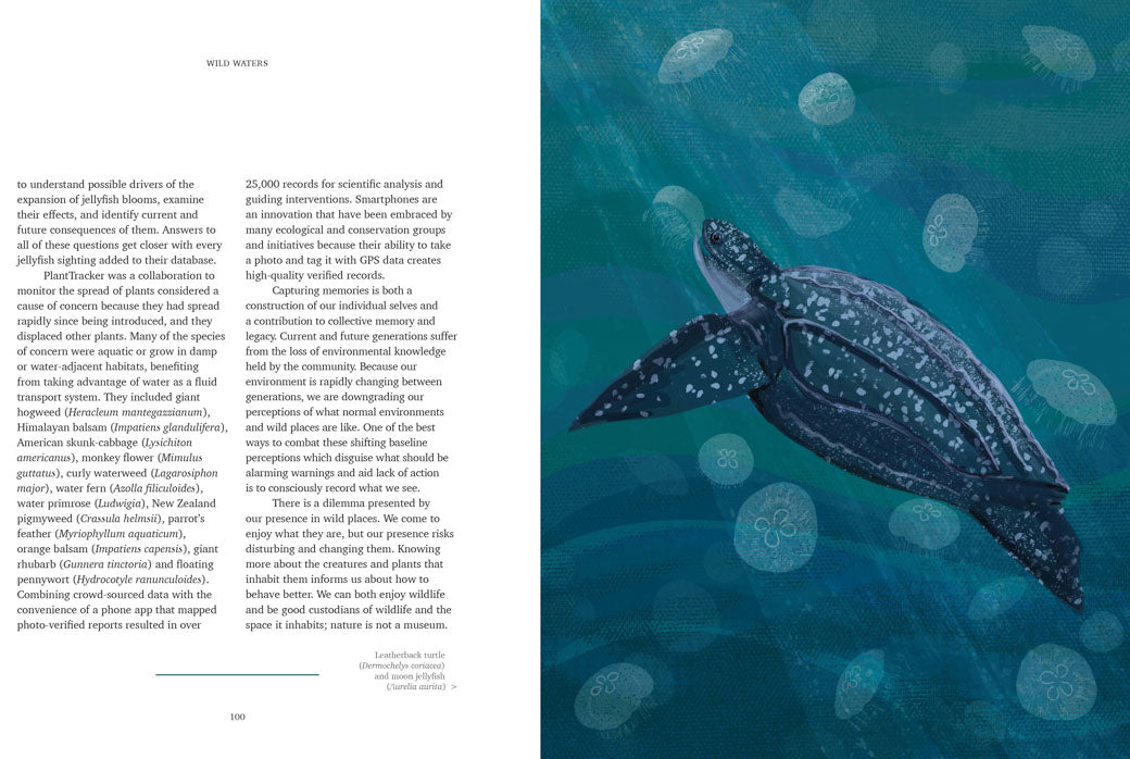 Wild Waters - Adventure Books by Vertebrate Publishing