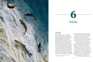 Wild Waters - Adventure Books by Vertebrate Publishing